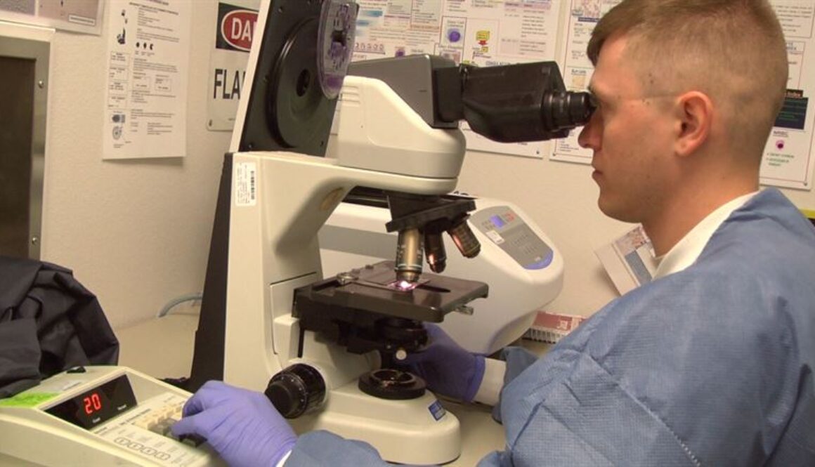 dual education in costa rica