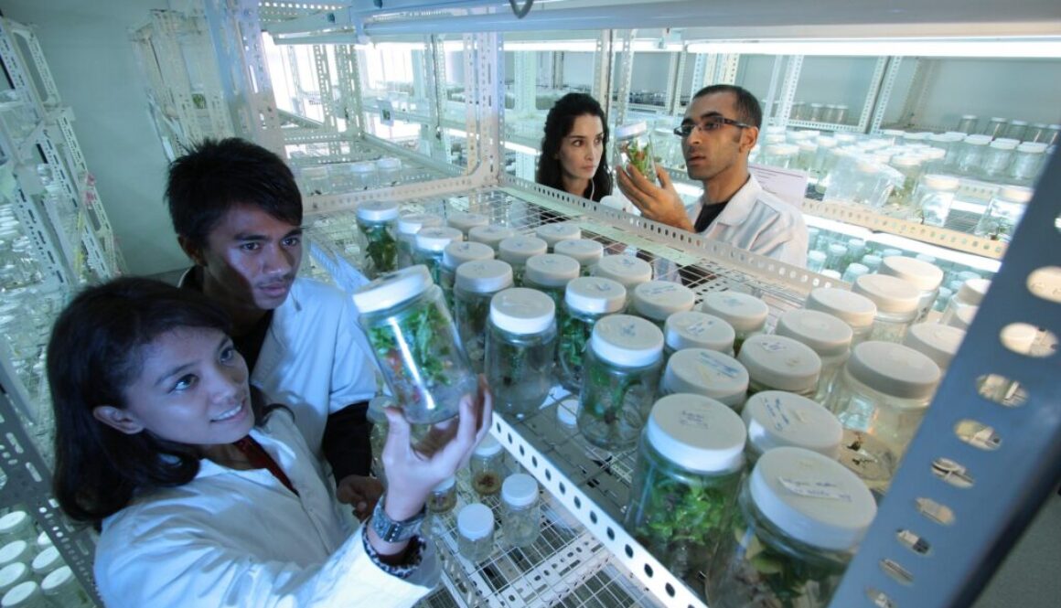 manufacturing clusters in Costa Rica