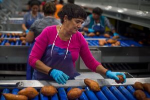 food processing industry in el salvador